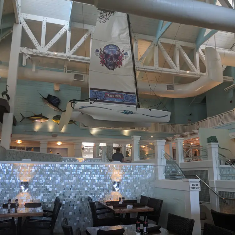 JB's On The Beach, Deerfield Beach, FL