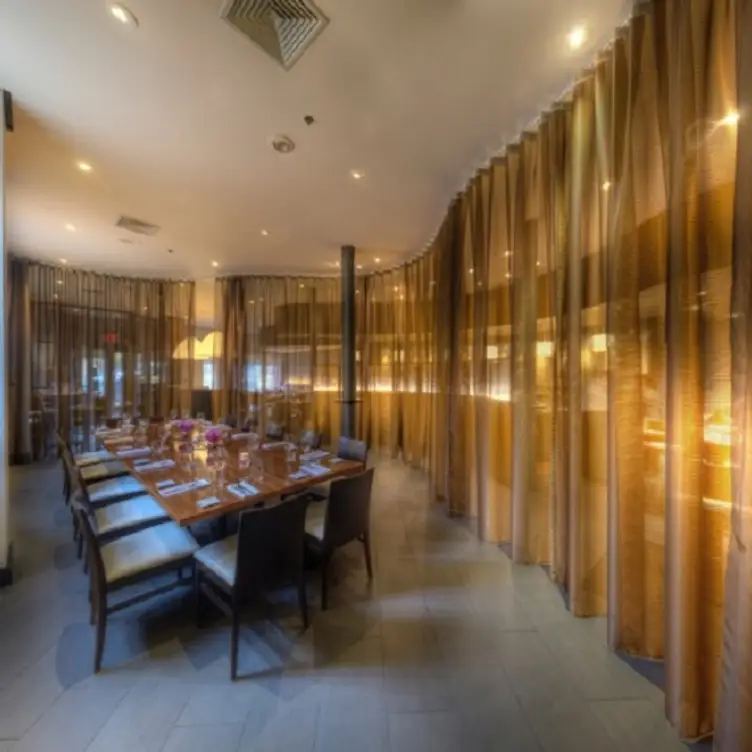 olea - New Haven, New Haven, CT