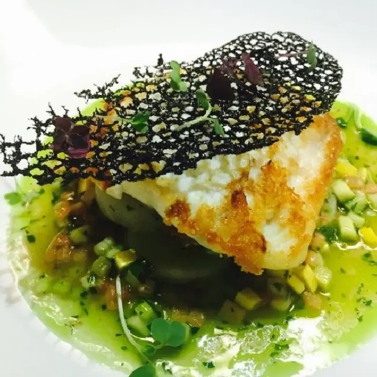 olea - New Haven, New Haven, CT