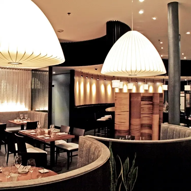 olea - New Haven, New Haven, CT