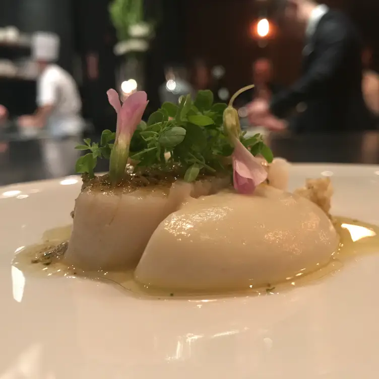 Atera, New York, NY
