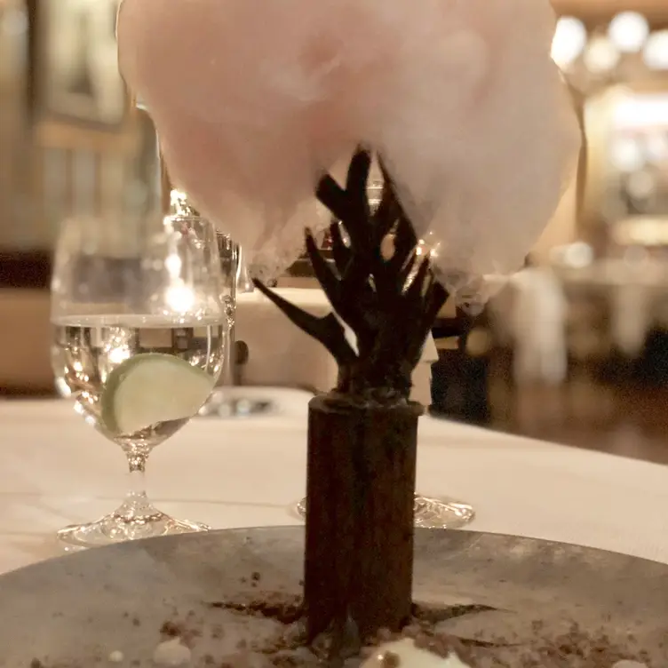 Palme d'Or, Coral Gables, FL