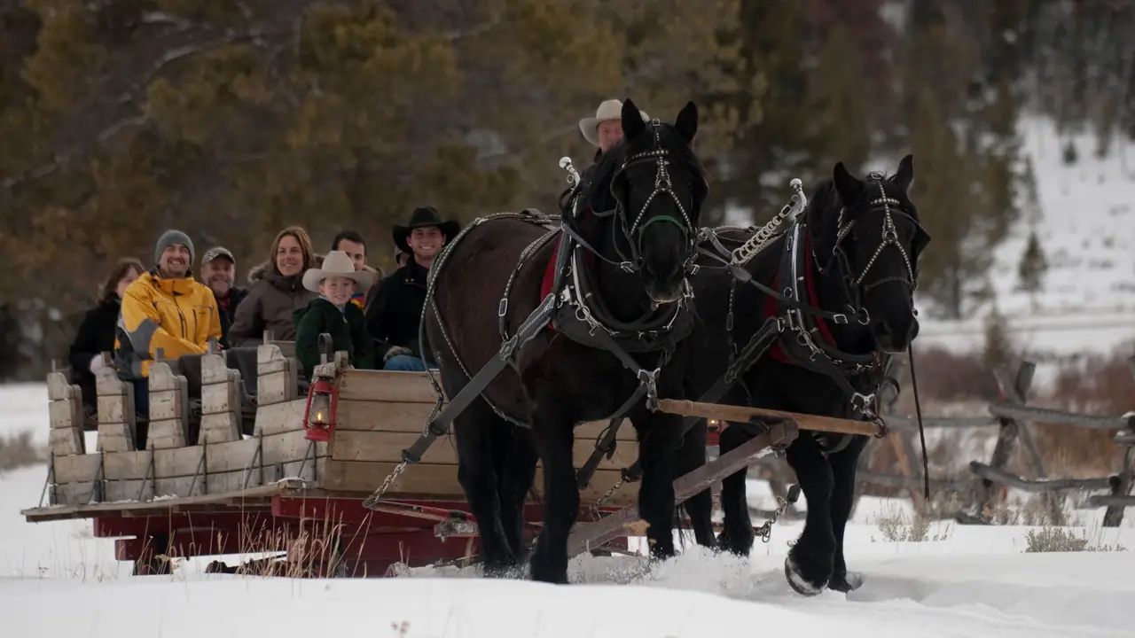 320 Ranch Sleigh Rides, Gallatin Gateway, MT
