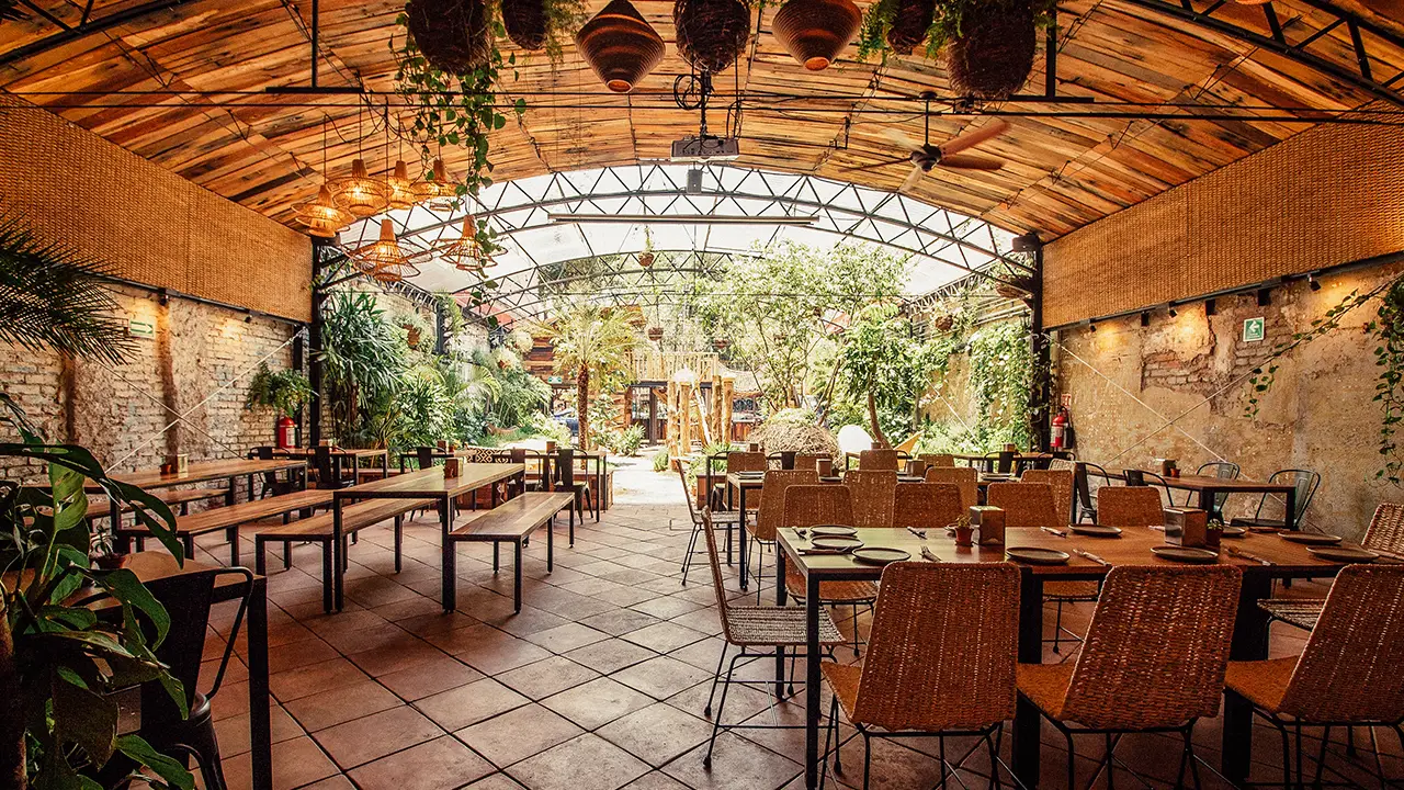 Parcela, Ciudad de México, CDMX