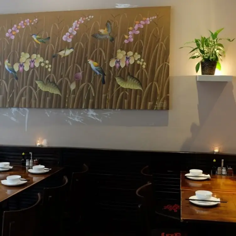 Tian Fu, berlin, BE