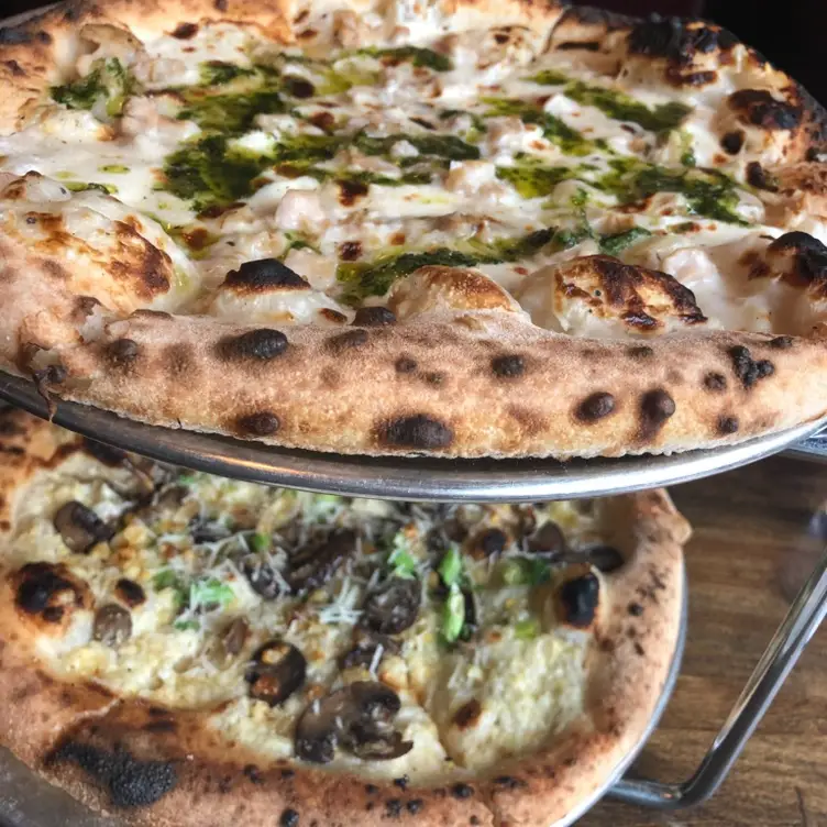 Bufad, Philadelphia, PA