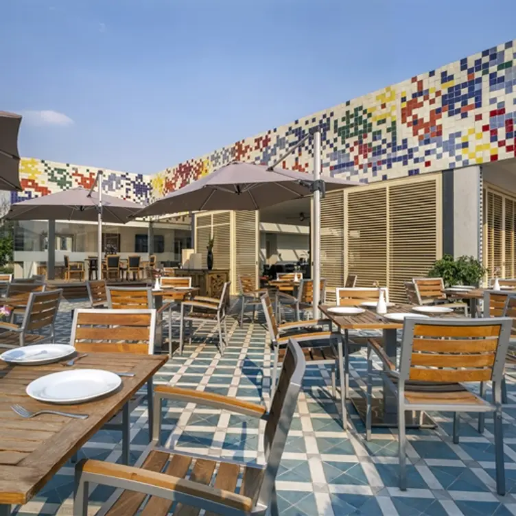 Roof Garden - Hamburgo, Ciudad de México, CDMX