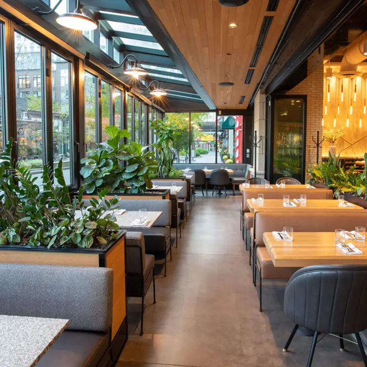 Sommerville () - Earls Kitchen + Bar -  Assembly Row, Somerville, MA