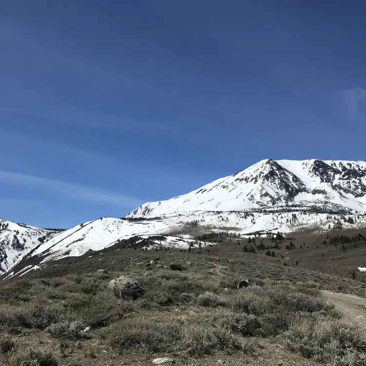 Fin & Filet, Reno, NV