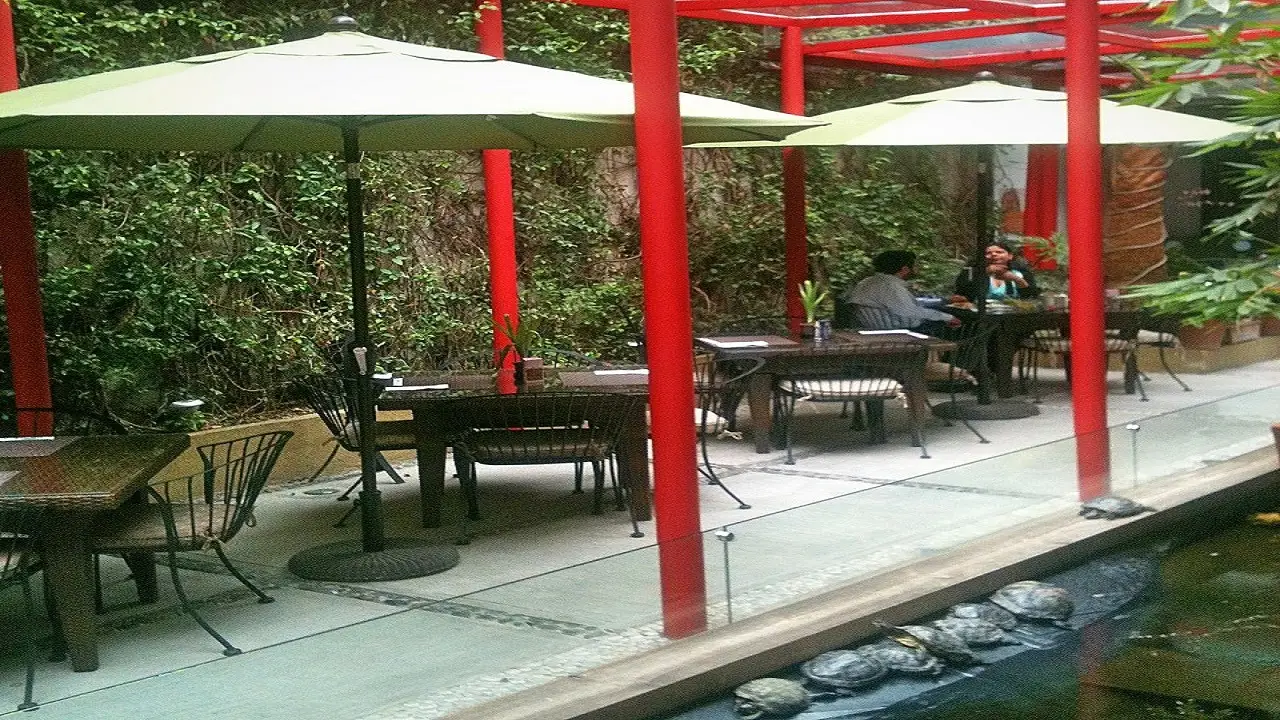 N - Shizo Lounge Restaurant BI, Ciudad de México, CDMX