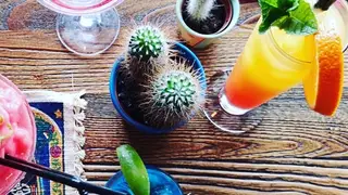 Una foto del restaurante Yucca