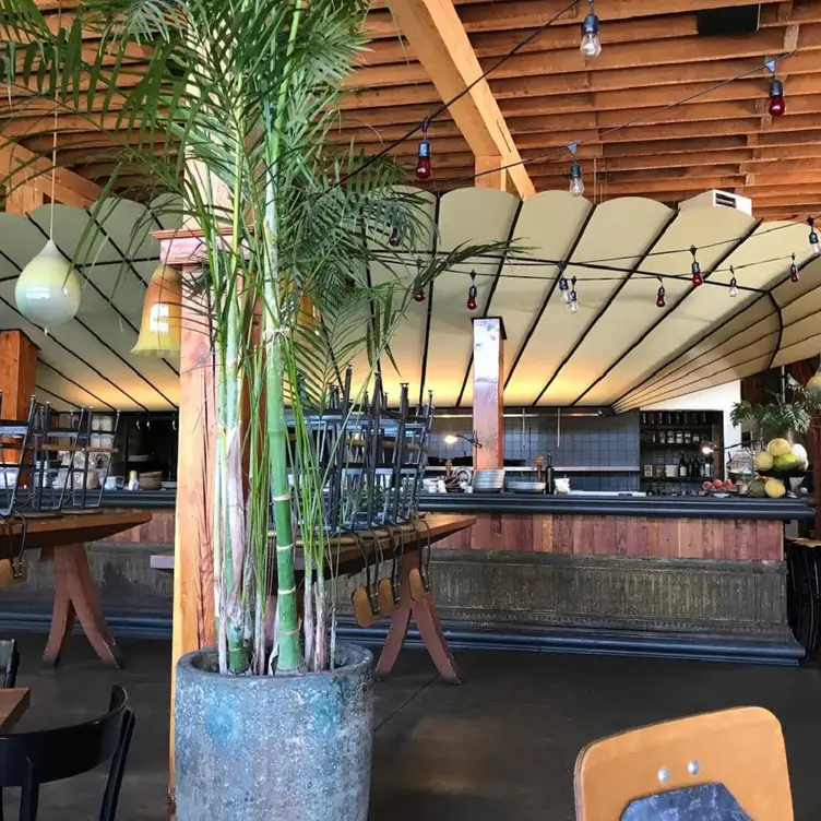 Almond and Oak, Oakland, CA
