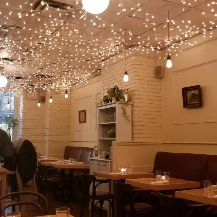 The Gabardine, Toronto, ON