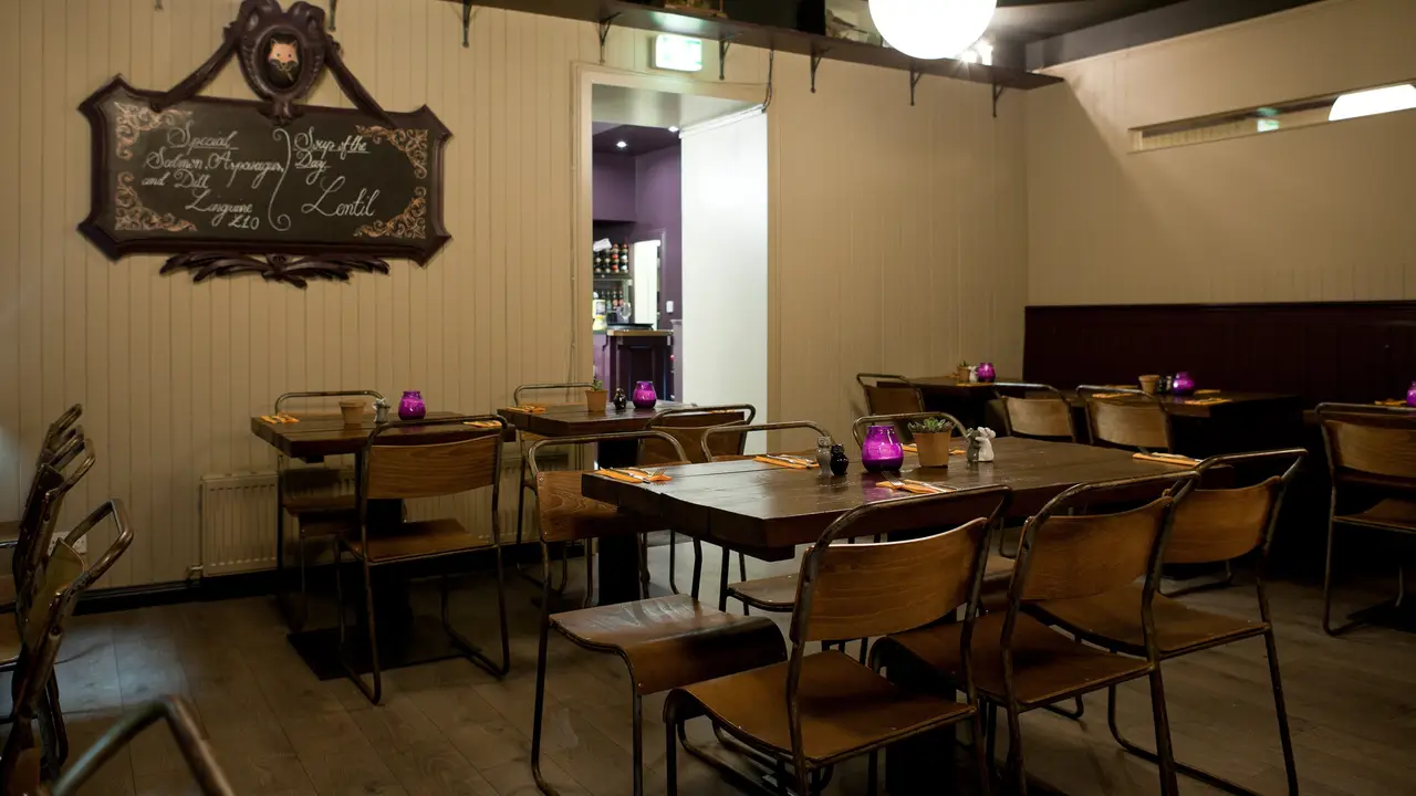 The Urban Fox, Edinburgh, 