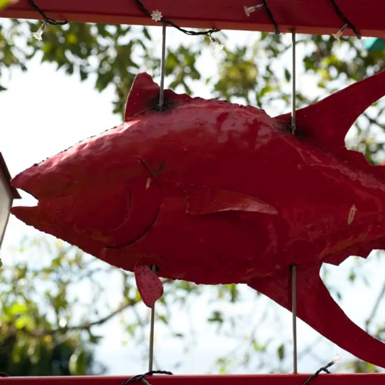 Le Poisson Rouge, Deshaies, FWI
