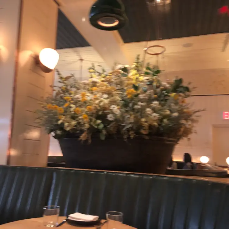 Upland, New York, NY