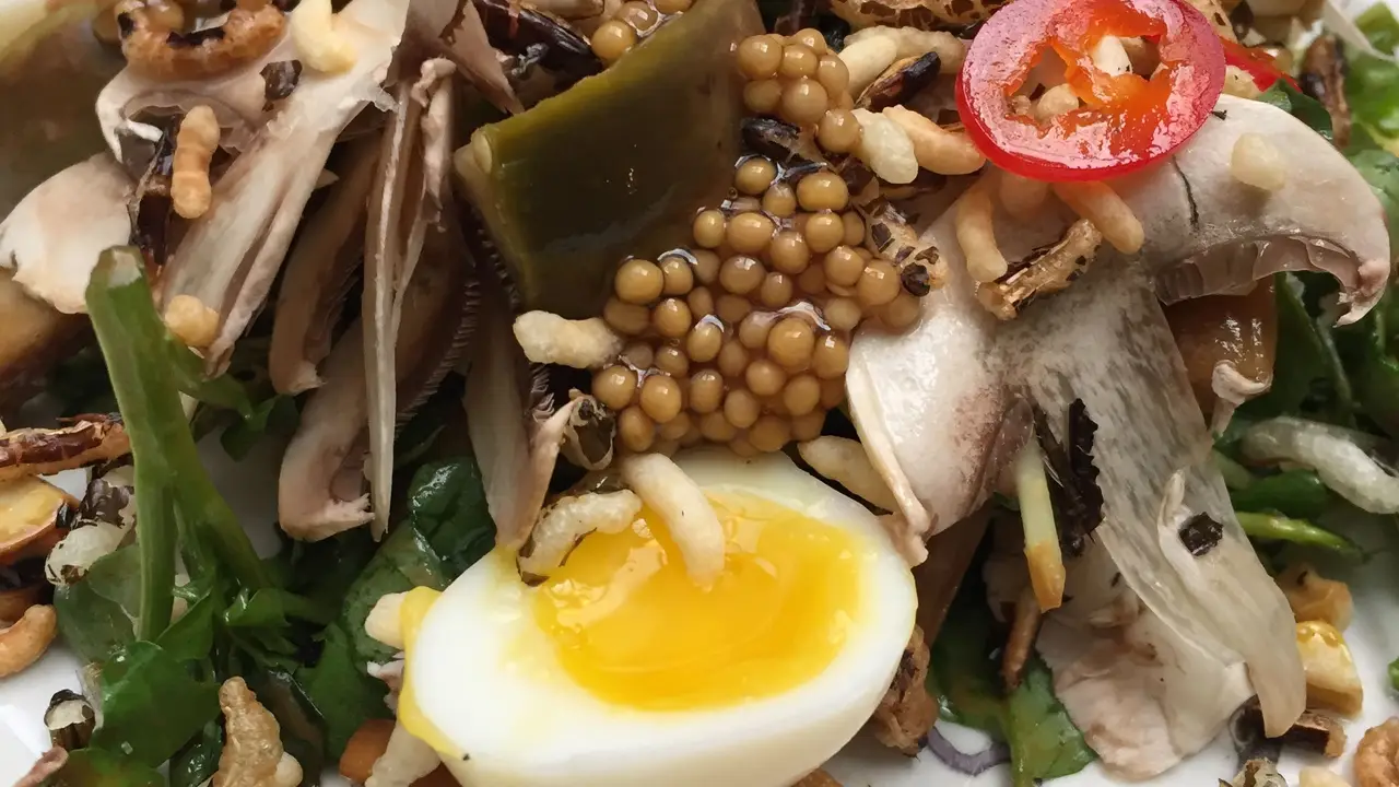Little Dailo Pop-Up - Permanently Closed, Toronto, ON
