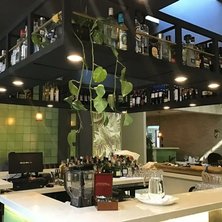La Trattoria - San Angel, Ciudad de México, CDMX