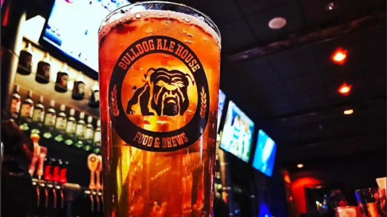 Bulldog Ale House - State St., Chicago, IL