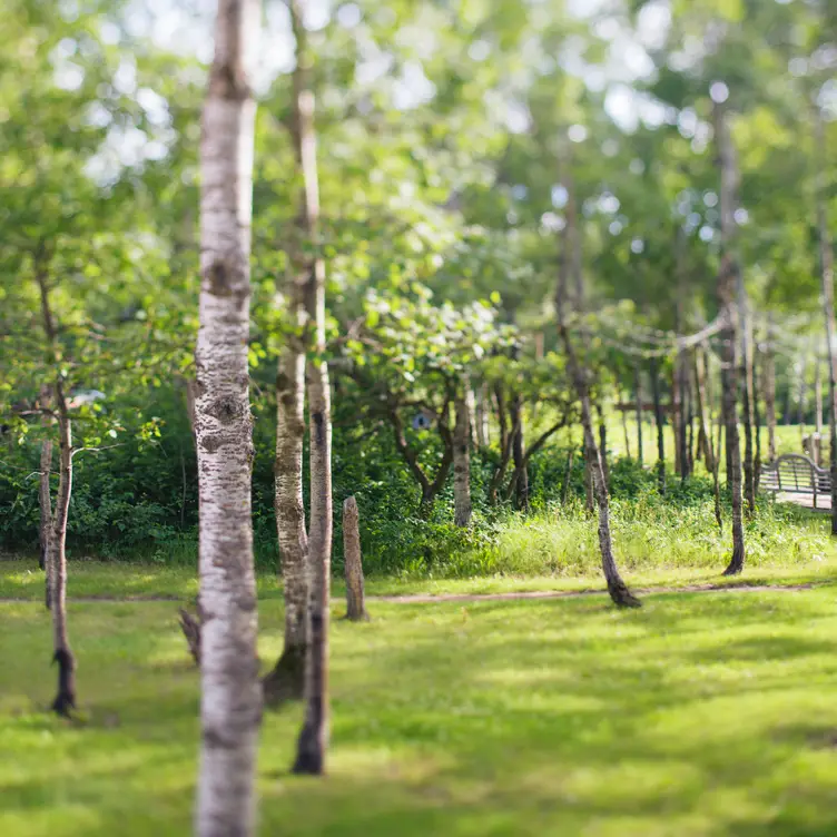 Pineridge Hollow, RM of Springfield, MB