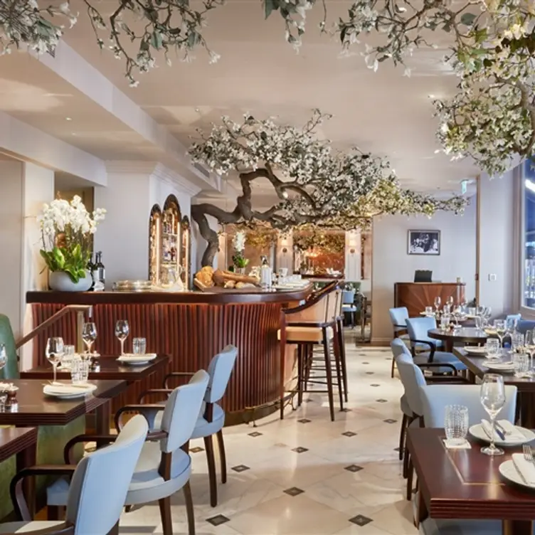 A.O.K Kitchen, London, 