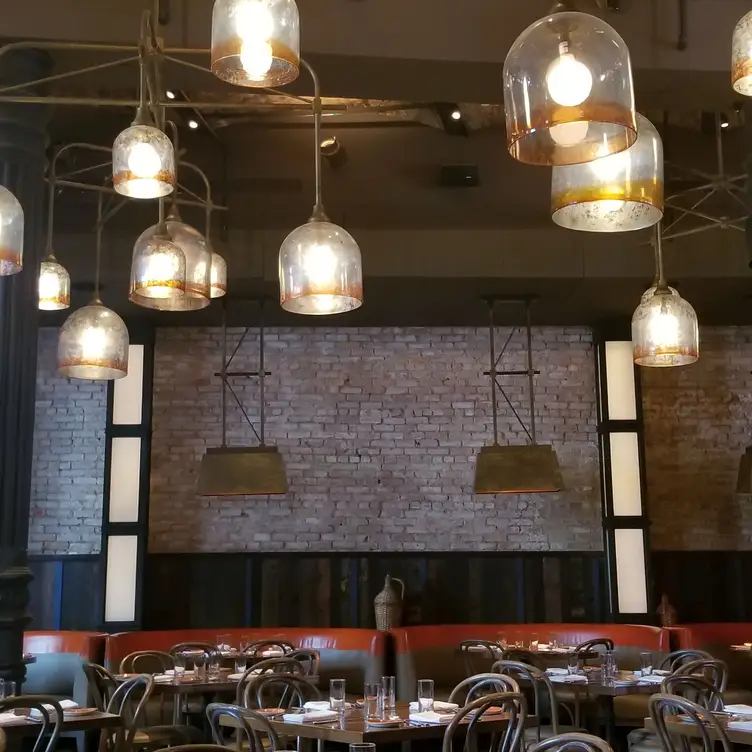 Gato, New York, NY