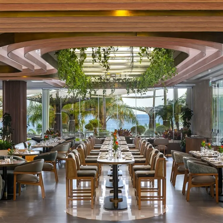 Kalypso, Limassol, 