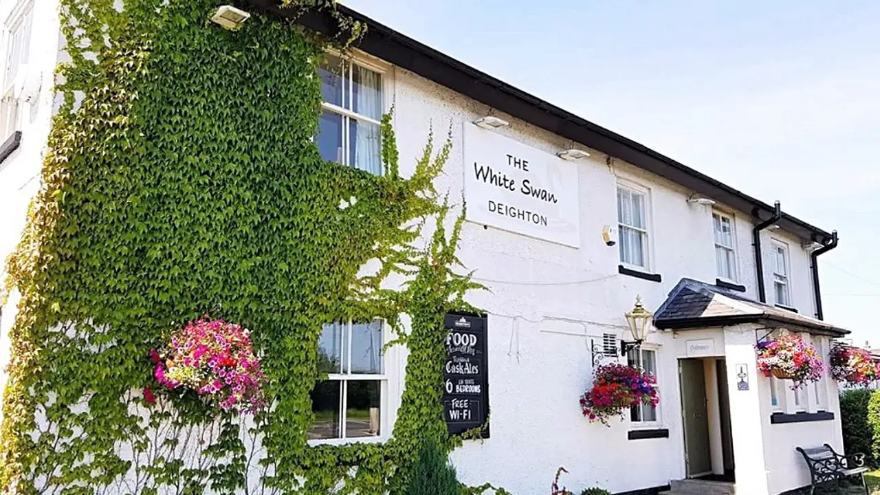 White swan Deighton, York, North Yorkshire
