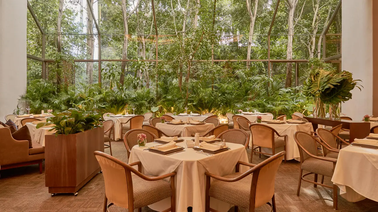 Hunan - San Angel, Mexico City, CDMX