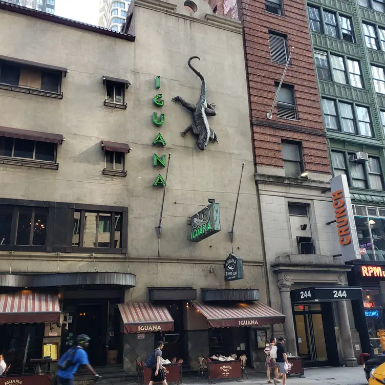 Iguana, New York, NY