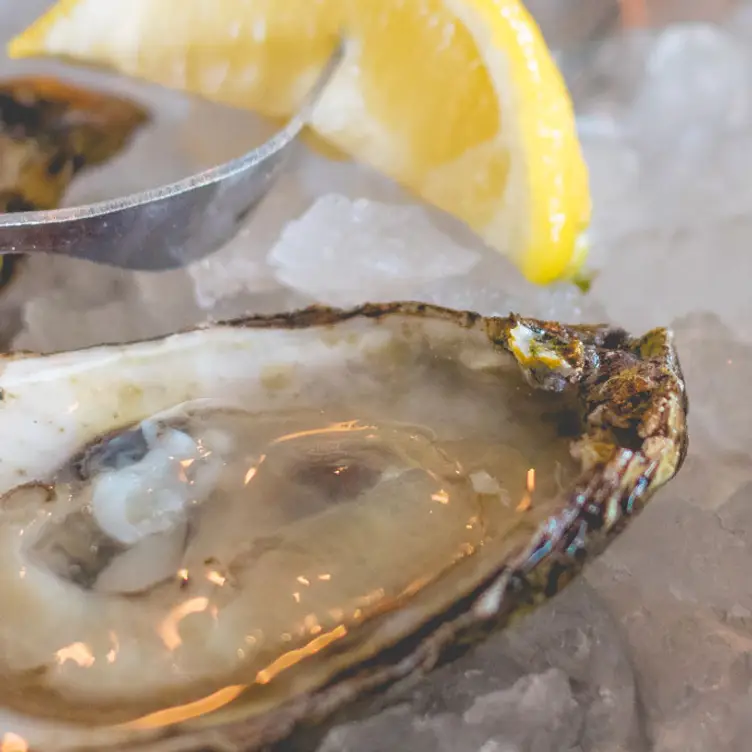 Starboard RAW, Dewey Beach, DE
