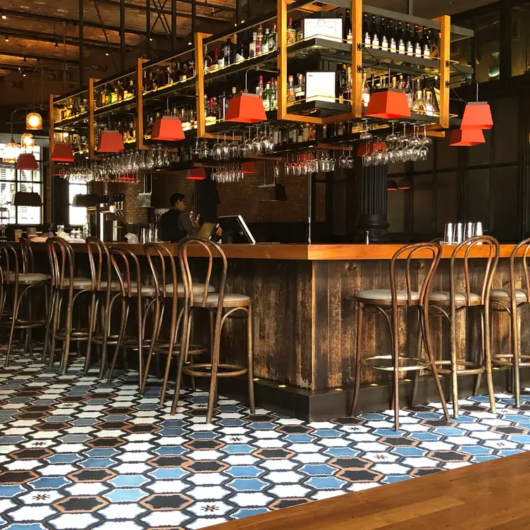 Gato, New York, NY