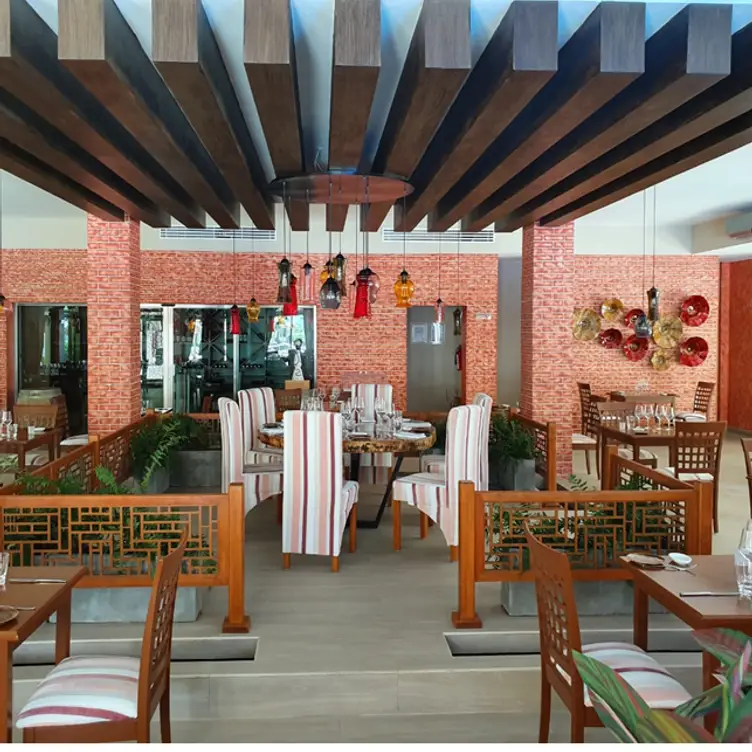 MIO ITALIAN CUISINE, Playa del Carmen, ROO