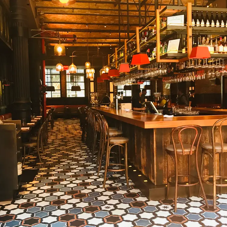 Gato, New York, NY
