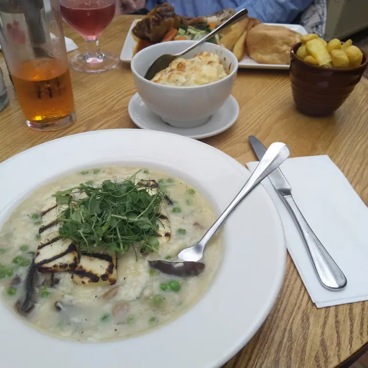 The Snow Goose, Inverness, Highland