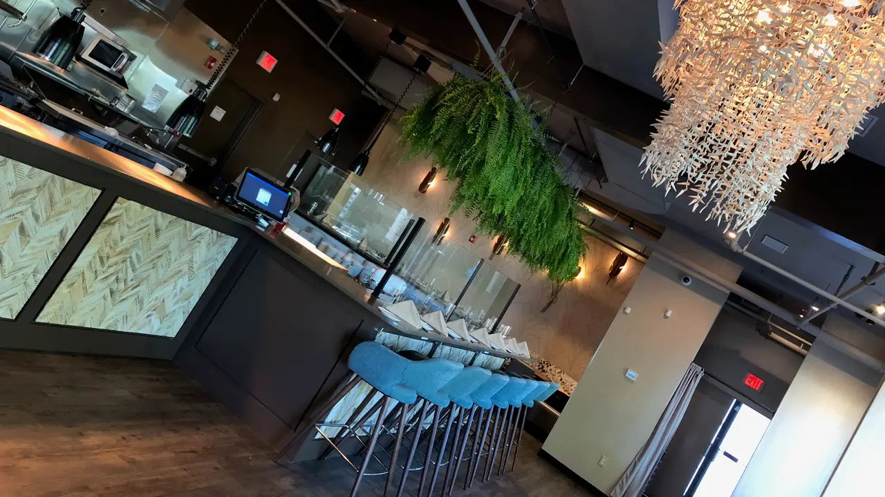 Latina Kitchen & Bar, Needham, MA