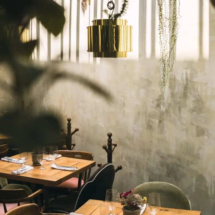 Bistro 83 - Roma, Ciudad de México, CDMX