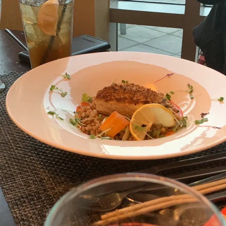 Aqua, Tampa, FL