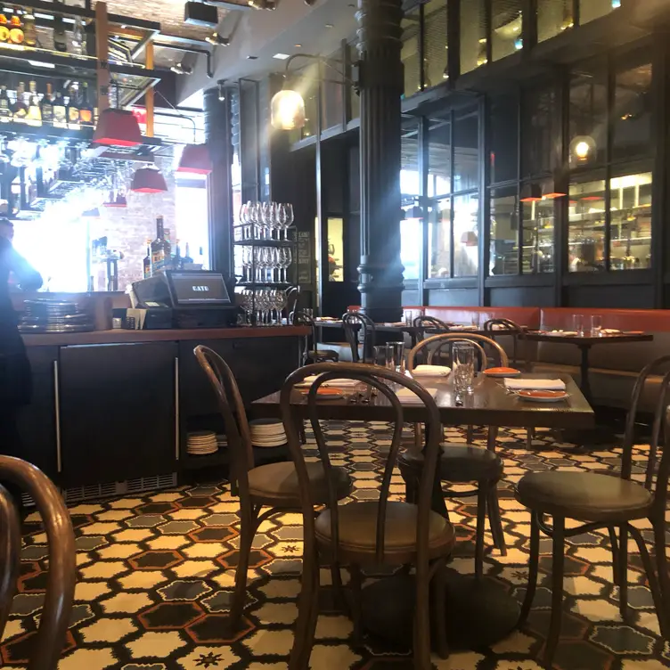 Gato, New York, NY