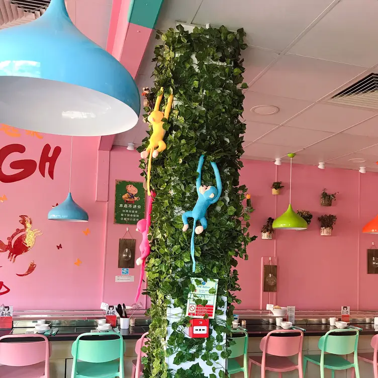 Ma Xiao Xuan, Belfast, Co Antrim