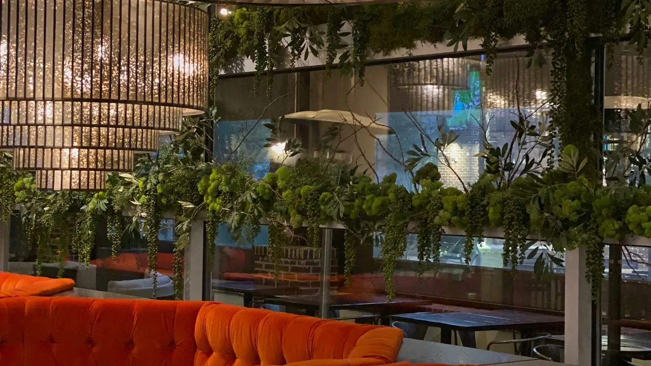 Rustico Grill - Flower Mound, Flower Mound, TX