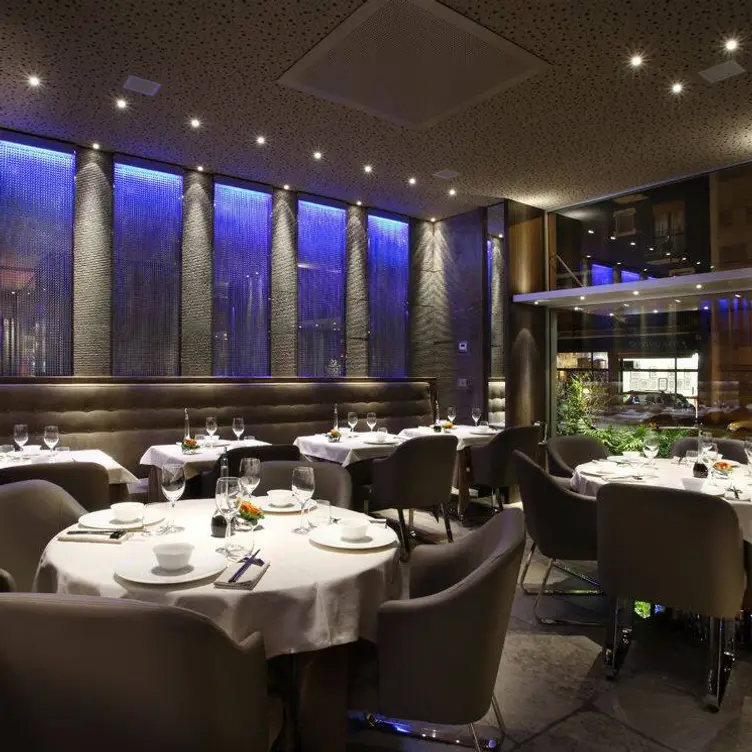 Dim Sum - Milano, Milan, Milan