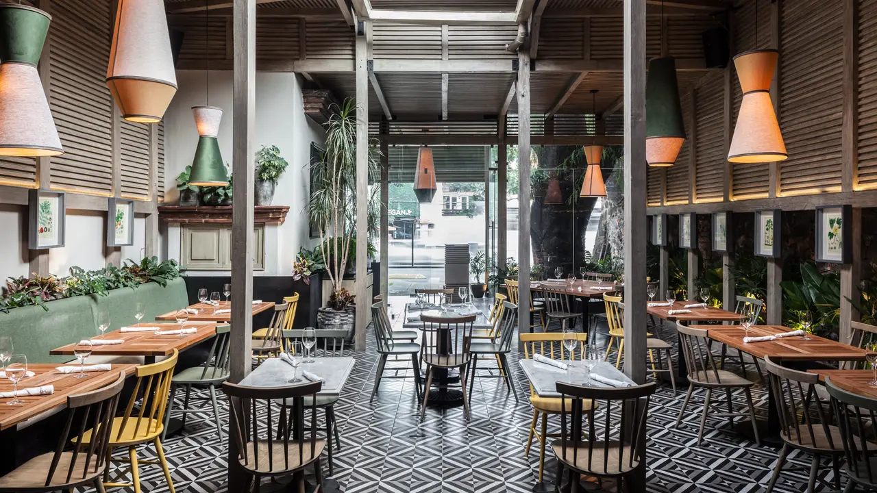 Zeru - San Ángel, Ciudad de México, CDMX