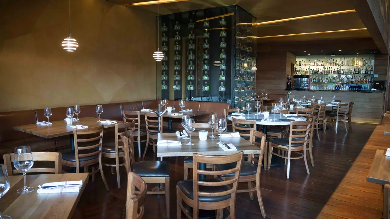 Bellaria - Mexico, Mexico City, CDMX