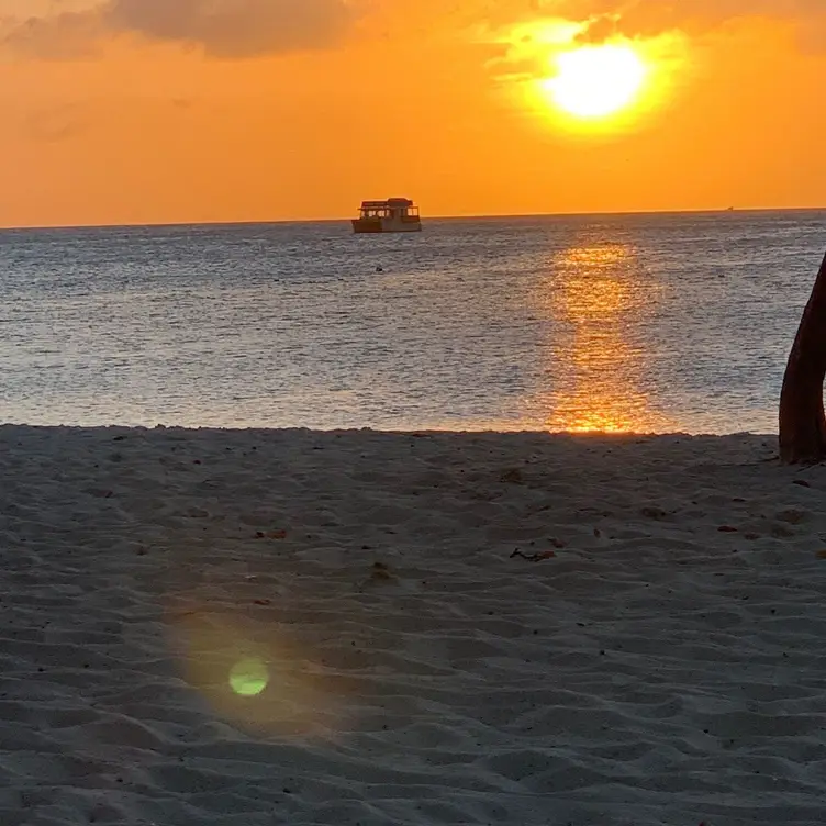 Moomba Beach, Noord, Aruba