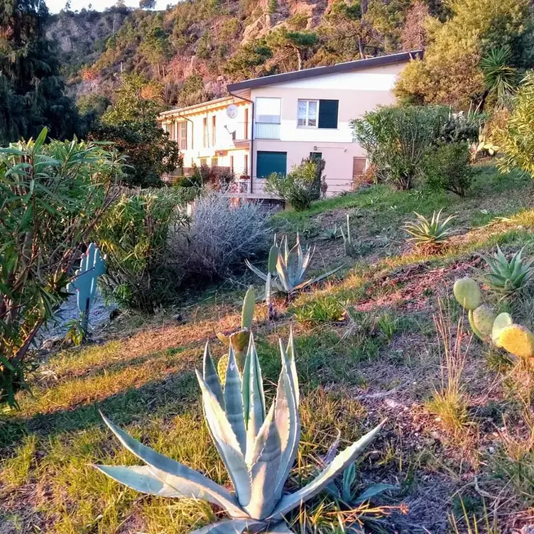 Ristorante Rosadimare, Liguria, Liguria