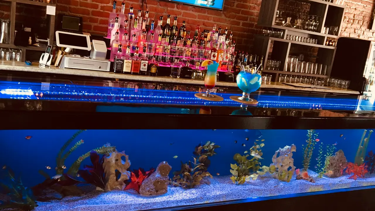 A'Lure Aquarium Bar/Restaurant, Ottawa, IL