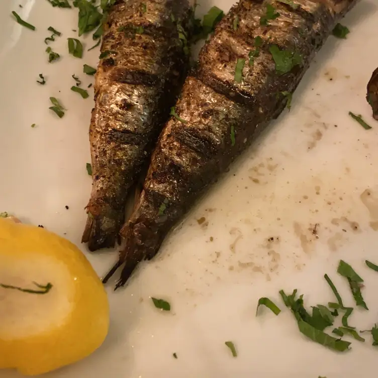 Pesce Restaurant, Washington, DC
