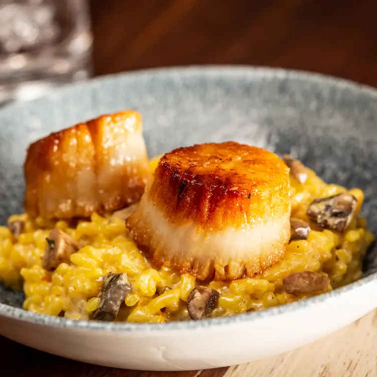Cava Mezze - Baltimore - Permanently Closed, Baltimore, MD