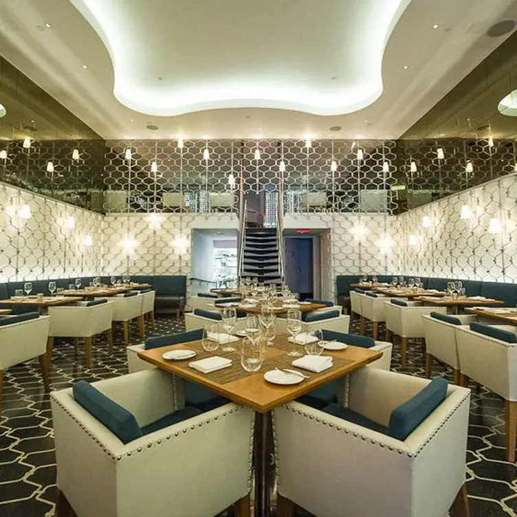 VITAE, New York, NY